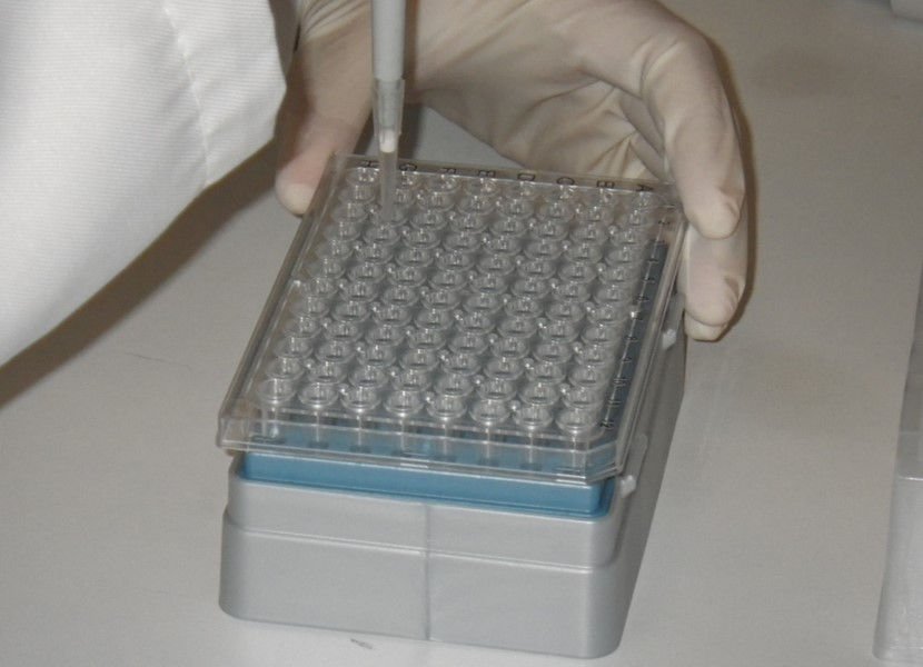 SCIMABIO Interface génétique