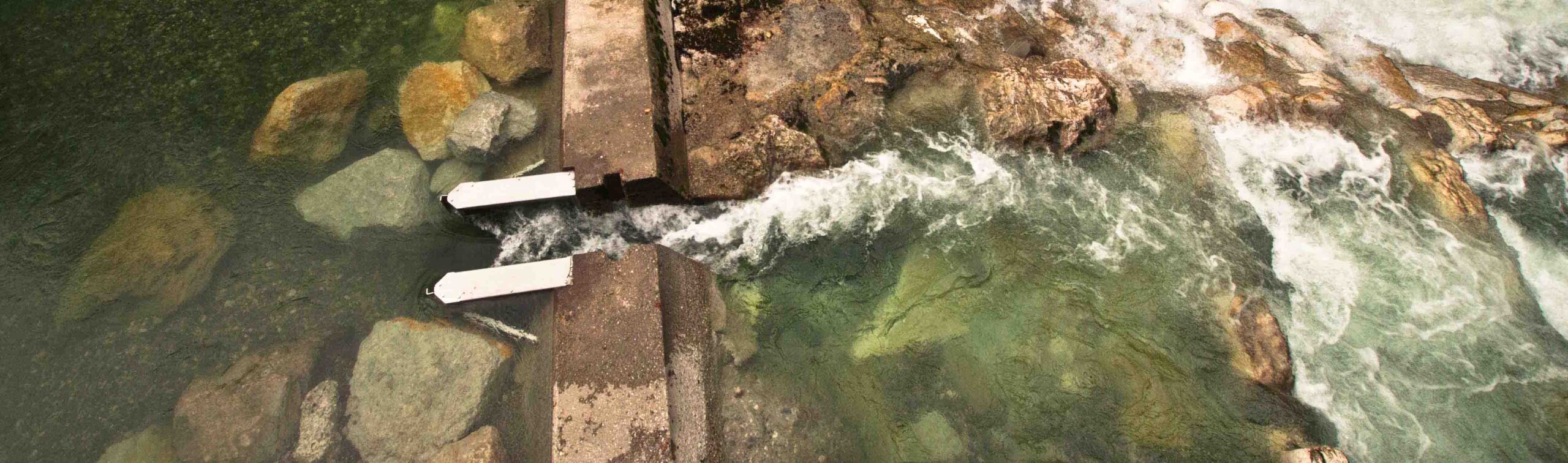 video counter, fishway, HIZKIA, Ibaï Begi, SCIMABIO Interface