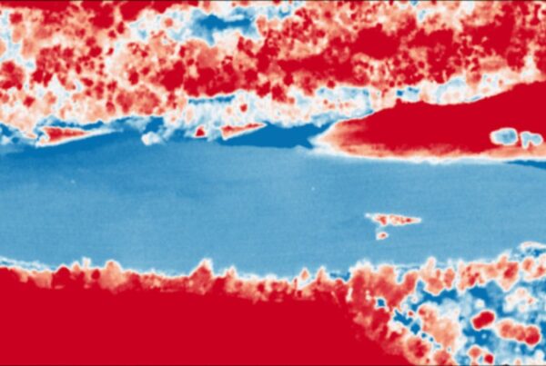 scimabio-interface, expertise, IRT imagerie thermique infrarouge