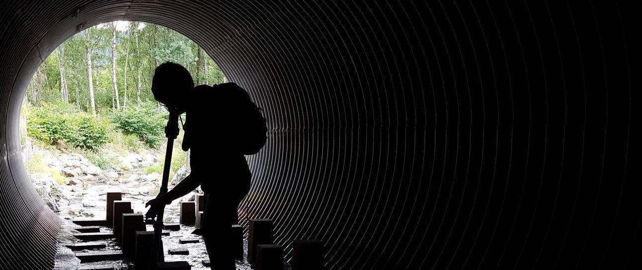 scimabio-interface, RFID