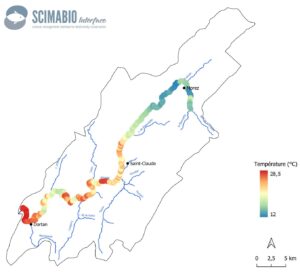 Figure 2 : cartographie des températures médianes par tronçon de 100 mètres sur le linéaire de la Bienne