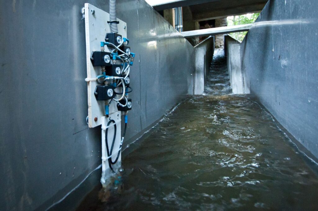 figure 6 : Sondes SQUAMA installées dans le bassin de repos. La passe est ici batardée.