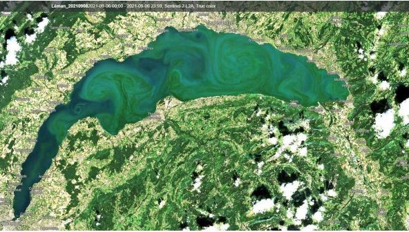 Bloom d’Uroglena du 6 septembre 2021 en vue satellite (©Sentinel-2, EU Copernicus, EO Browser)