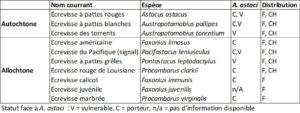 Table 1 – Liste des espèces d’écrevisses autochtones et allochtones (envahissantes) retrouvées dans les cours d’eau de France métropolitaine ainsi que leur statut face à la peste de l’écrevisse (A. astaci). (modifiée à partie de Collas et al. 2015 et de Jussila et al. 2021).