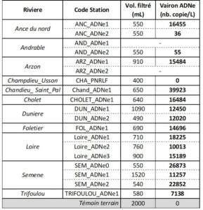 Table 1 : Signal ADNe Vairon détecté par dPCR sur les 19 stations fléchées pour la détection de la moule perlière.