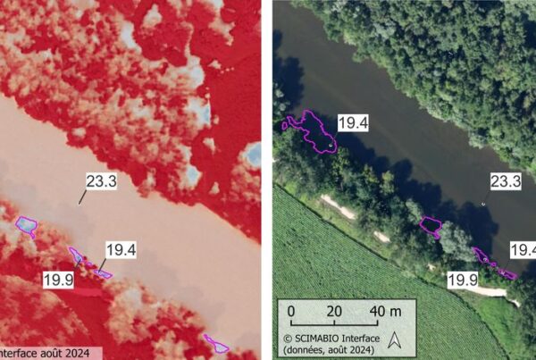 Figure 4: Exemple de taches froides observées lors de la campagne IRTa du 09 aout 2024. La surface de ces taches froides doit être d'au moins 0,36m2 et avec un différentiel de température d'au moins 0,5∘C. Les taches froides sont symbolisées en bleu, ici au PK 47,34. Données SCIMABIO Interface