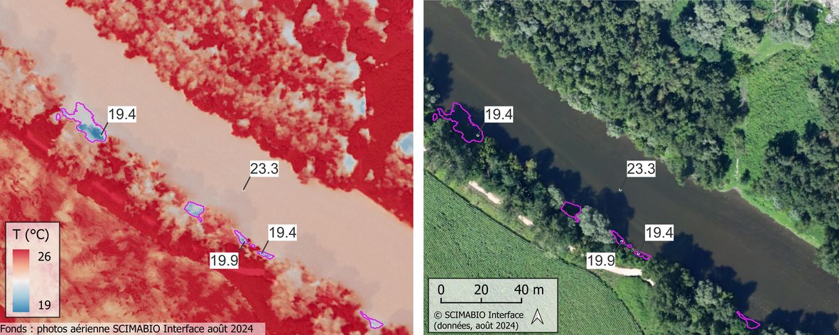 Figure 4: Exemple de taches froides observées lors de la campagne IRTa du 09 aout 2024. La surface de ces taches froides doit être d'au moins 0,36m2 et avec un différentiel de température d'au moins 0,5∘C. Les taches froides sont symbolisées en bleu, ici au PK 47,34. Données SCIMABIO Interface