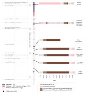 Figure 10 : Représentation du « risque » thermique pour la PKD (zones avec une thermie >15°C sans refuges) le long du linéaire étudié du Bas-Verdon. Les taches froides en roses sont celles où la température est inférieure à 15°C au plus froid + Quantification à droite du nombre de jours consécutifs à plus de 15°C en moyenne pendant l’été 2025 relevés par les sondes thermiques sur le Verdon (données FDPPMA 02, AAPPMA Bas-Verdon, DREAL, SMAVD)_ SCIMABIO Interface