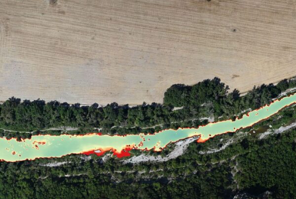 SCIMABIO Interface, IRTa Verdon