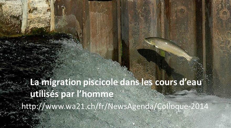 Séminaire « La migration piscicole dans les cours d’eau utilisés par l’homme : problèmes et solutions »