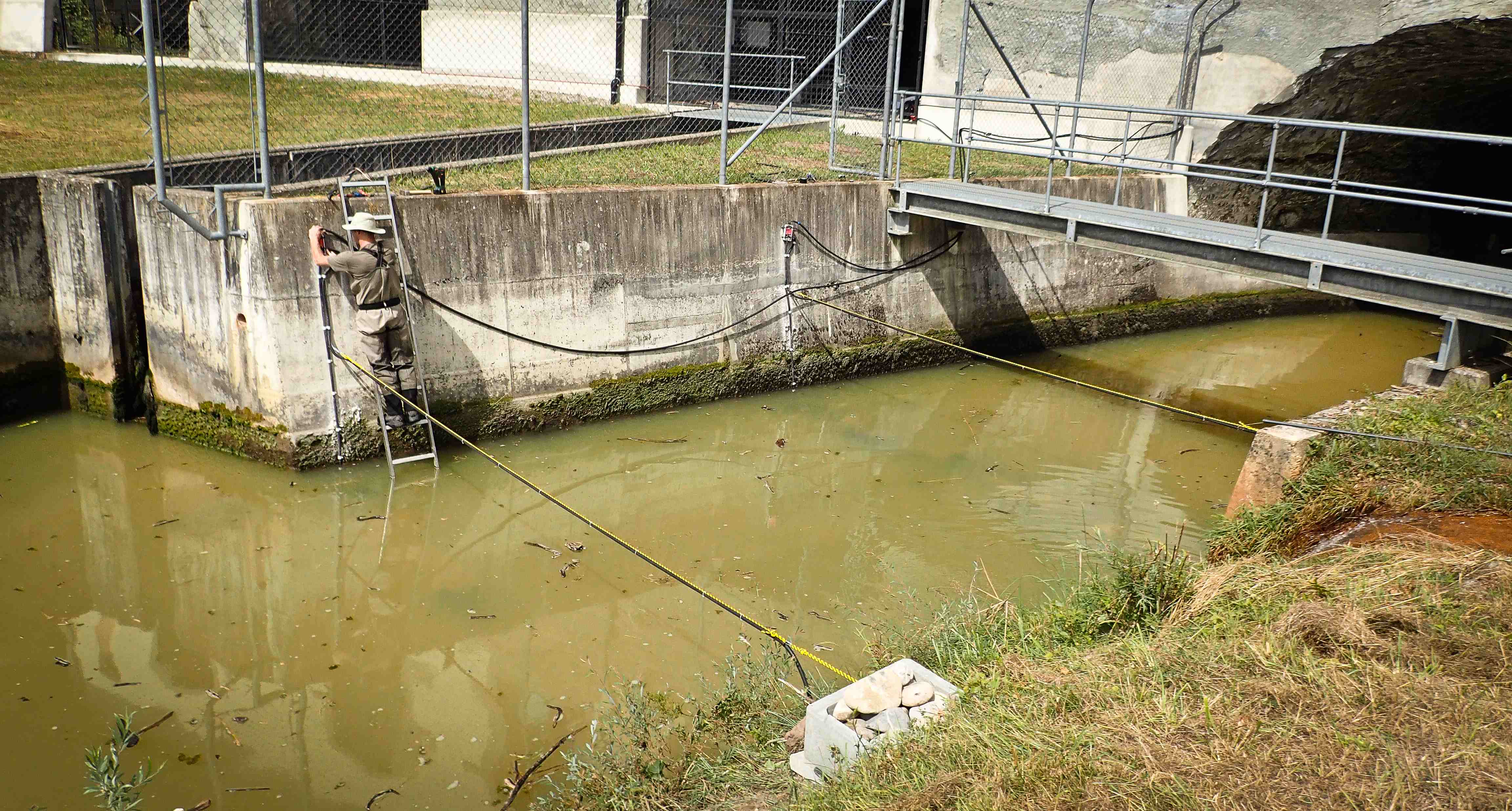 Évaluation de la dévalaison piscicole par RFID sur le barrage de la Maigrauge