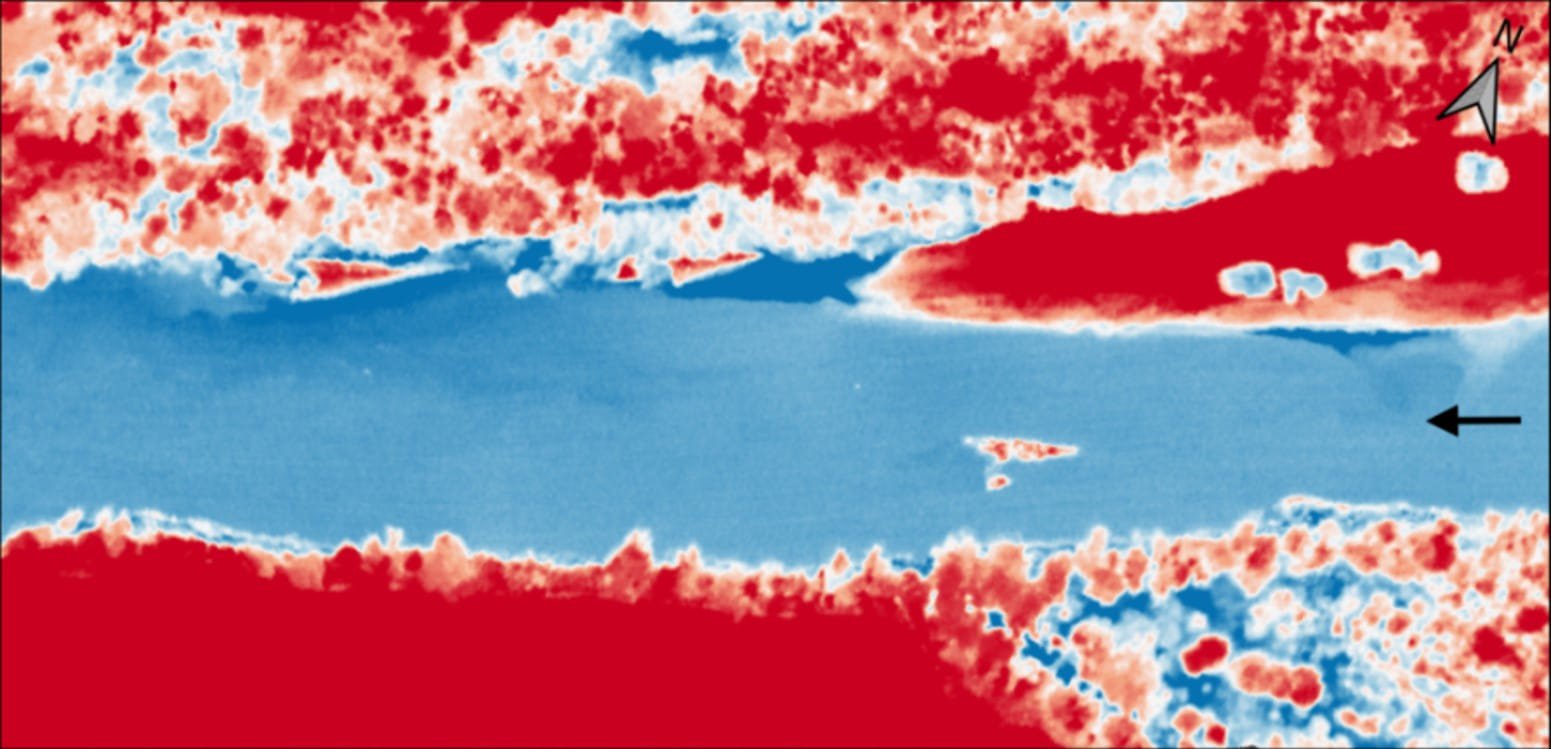 scimabio-interface, expertise, IRT imagerie thermique infrarouge