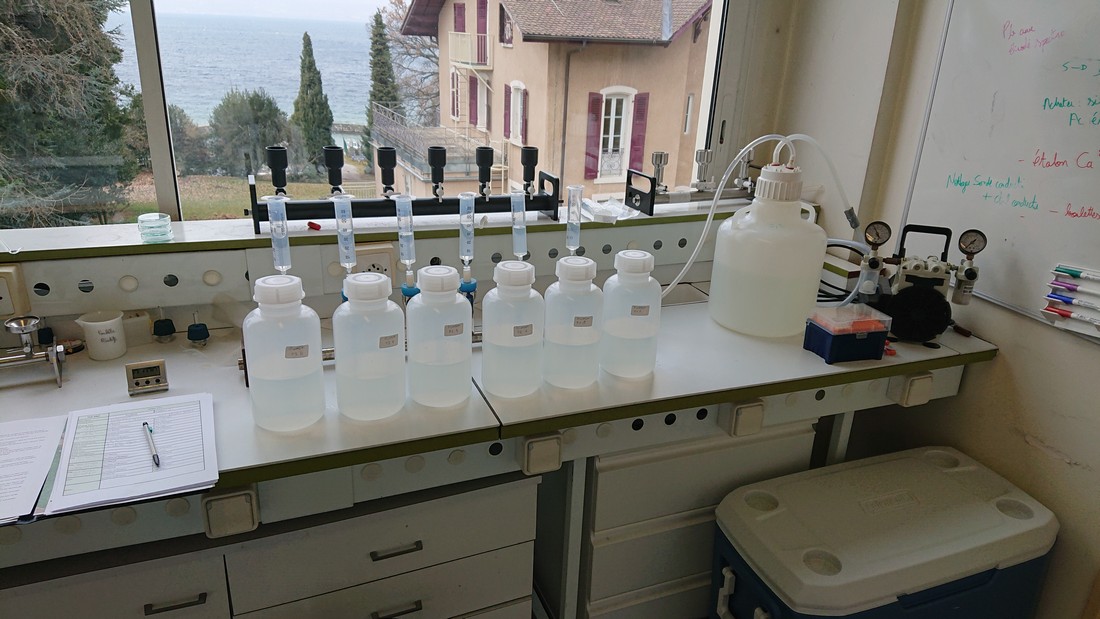 scimabio-interface, expertises, ADNe recherche spécifique, ADN environnemental, qPCR, ddPCR, reproduction, front de colonisation, illustration extraction ADN en laboratoire