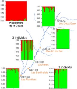 scimabio-interface, assignation des individus, Gervanne, Drôme. 