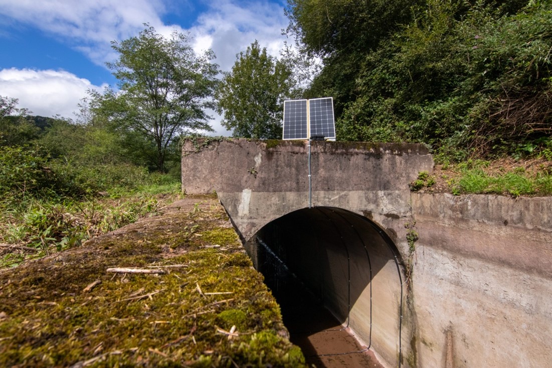 Scimabio-interface, RFID, life Kantauribaï, antenne spirale, espagne. Antenne RFID en spirale installée par SCIMABIO Interface sur le site de San Tiburcio, Espagne. Le dispositif est alimenté via des panneaux solaires également installés par SCIMABIO Interface. ©SCIMABIO-Interface/C.Bouchard
