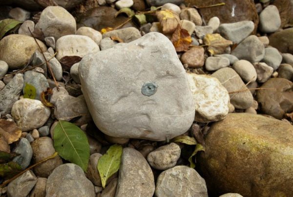 dépôt des particules marquées en milieu naturel.