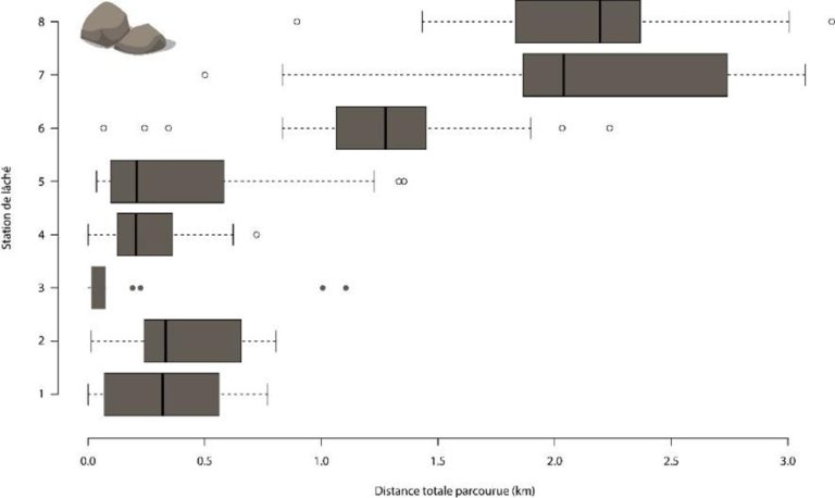 Distribution des distances parcourues par les particules (en km) en fonction de leur station de dépôt.