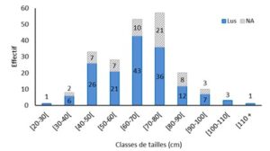 Effectifs de brochets analysés (lus : n=156 ; NA : n= 58)