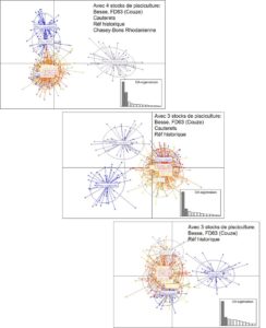 Analyse Discriminante des Composantes Principales réalisées avec les échantillons « rivière » et différentes combinaisons de stocks utilisés pour les repeuplements.