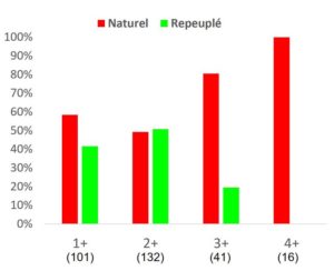 Pourcentage des individus naturels et repeuplés par classe d’âge (effectifs entre parenthèses).