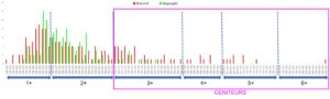 Répartition des individus naturels et repeuplés par classe de taille et relation avec l’âge obtenu lors de l’étude scalimétrique.