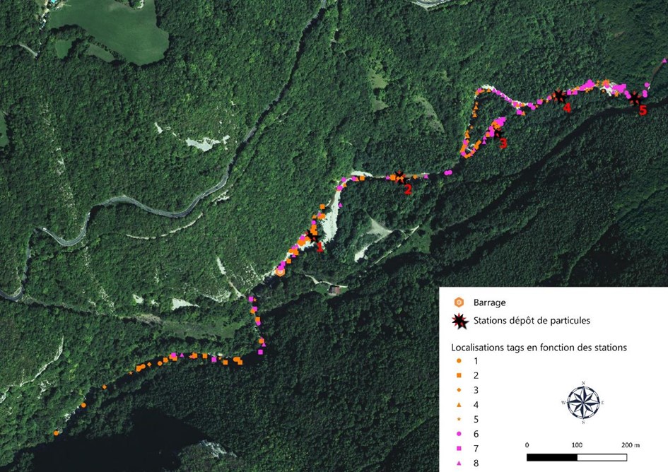Exemple de localisation des tags de part et d’autre d’un barrage en fonction de leur provenance.
