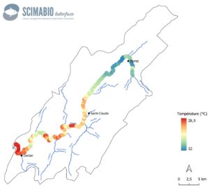 Figure 2 : cartographie des températures médianes par tronçon de 100 mètres sur le linéaire de la Bienne