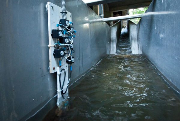 figure 6 : Sondes SQUAMA installées dans le bassin de repos. La passe est ici batardée.