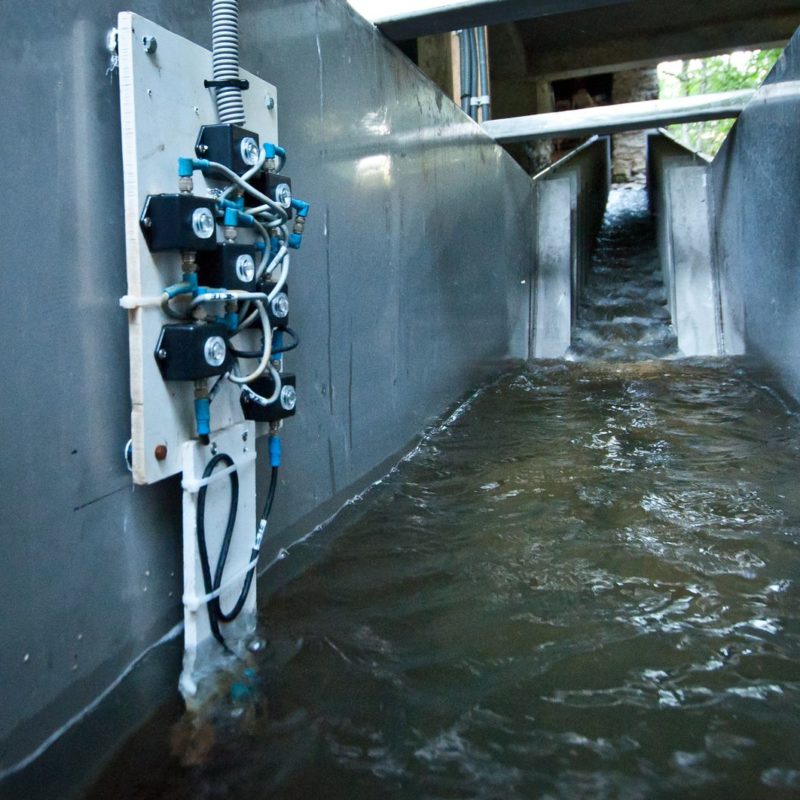 figure 6 : Sondes SQUAMA installées dans le bassin de repos. La passe est ici batardée.