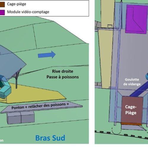 conception 3D chaine biométrie Risle