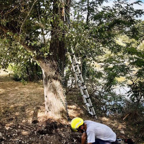 protections lecteurs-recepteurs1