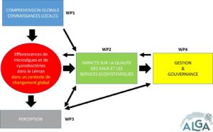 Articulation des Workpackages proposés dans le projet ALGA et leurs interactions