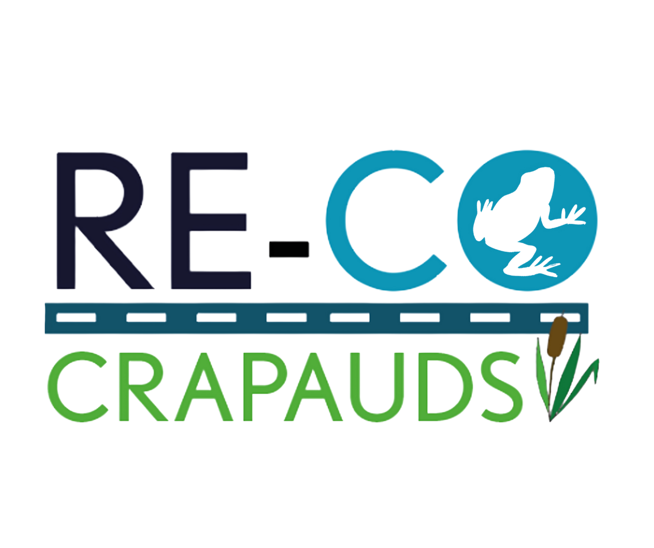 Logo projet RE-CO crapaud