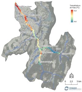 cartographie du profil thermique longitudinal sur les trois Guiers à partir des températures médianes par tronçon de 100 mètres